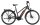 Victoria "Tresalo 2" Trekkingrad, Tektro RD-M350, 9-Gang, Bosch Active Line Plus, 50Nm, Akku 500Wh