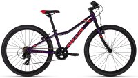 Kellys "Kiter 30" 24" Alu MTB Kinderrad,...