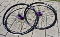 28/29" Laufradsatz. 120 Clicks. Felge: DT Swiss...
