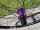 28/29" Laufradsatz. 120 Clicks. Felge: DT Swiss U663, 30-622, schwarz. Nabe: Tanke TH390. 8 bis 12-fach, HG, Farbe Violett. 6-Loch. Toller Sound.