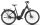 E-Bike Victoria "Cysalo 9" 28" Wave Cityrad, Shimano Nexus, 8-Gang, Riemen,