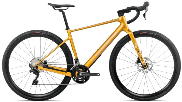 L=51cm, Bumblebee Yellow/Brown Glänzend